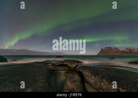 Nordlicht oder Aurora Borealis, Uttakleiv Strand, Leknes Lofoten, Norwegen Stockfoto