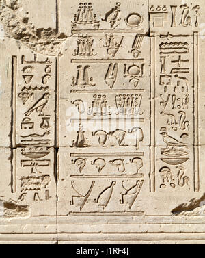 Detail von Dendera Tempel zeigt das Krone-Liste-relief Stockfoto