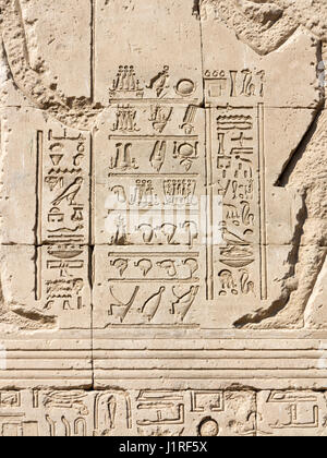 Detail von Dendera Tempel zeigt das Krone-Liste-relief Stockfoto