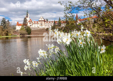 Frühe Frühlingsgartenblumen Weiße Narzissen blühen am Ufer eines Teiches, Pruhonice Park Prag, Tschechische Republik Europa UNESCO-Weltkulturerbe Stockfoto