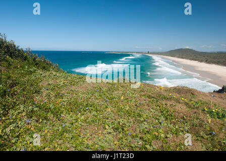Cabarita Beach, Australien Stockfoto