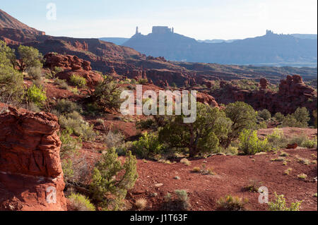 Die Ansicht Westen über das Amphitheater Richardson (aka Professor Tal) von Fisher Towers, in der Nähe von Moab, Utah. Stockfoto