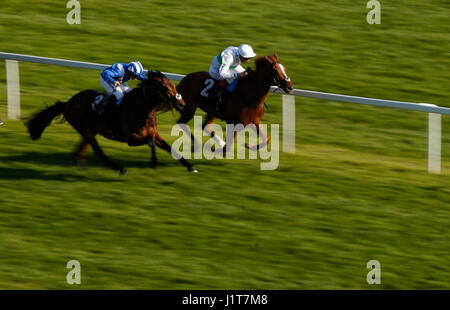 Gesicht die Fakten von Frankie Dettori geritten gewinnt die Carter Jonas Maiden Stakes tagsüber zwei Dubai Duty Free Trials & Bier Frühlingsfestival in Newbury Racecourse. Stockfoto