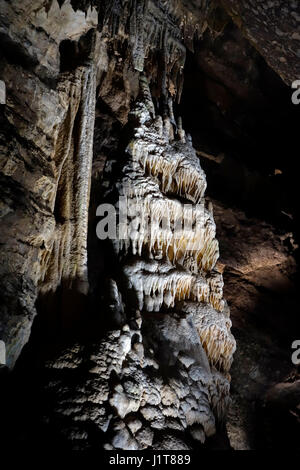 Riesige Stalagmiten mit Schmelzstein, Ablagerungen von Calcit in die Grotten von Han-Sur-Lesse / Grottes de Han, belgische Ardennen, Belgien Stockfoto