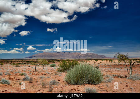 Brandberg Mountain, Namibia, Afrika Stockfoto