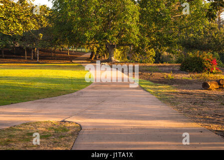 Sonnenaufgang in einer Parklandschaft. Balboa Park, San Diego, Kalifornien, USA. Stockfoto