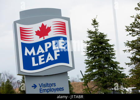 Ein Logo Zeichen außerhalb einer Einrichtung von Maple Leaf Foods Inc. in Hannon, Ontario, Kanada, am 15. April 2017 besetzt. Stockfoto