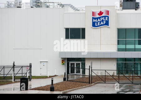 Ein Logo Zeichen außerhalb einer Einrichtung von Maple Leaf Foods Inc. in Hannon, Ontario, Kanada, am 15. April 2017 besetzt. Stockfoto