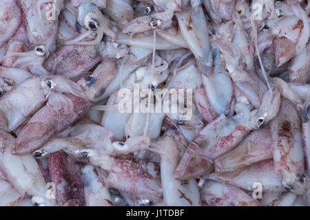 Hintergrund frischer Fisch auf der Straße von Thailand Stockfoto