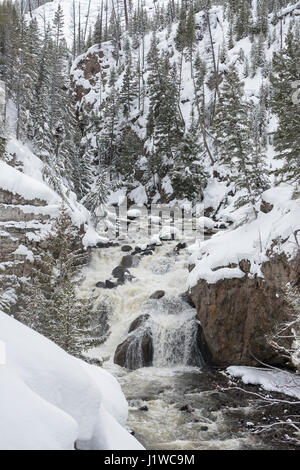 Firehole fallen im Winter, umgeben von schneebedeckten Bergen der Yellowstone-Nationalpark, Wyoming, USA. Stockfoto