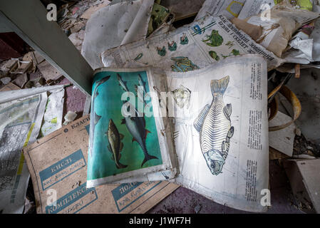 Lehrmittel in der Sekundarschule in Mashevo verlassenen Dorf Chernobyl Nuclear Power Plant Zone der Entfremdung in der Ukraine Stockfoto