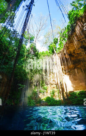 Gesamtansicht der Ik Kil Cenote mit hängenden Wurzeln und dem blauen Wasser in der Nähe von Chichén Itzá in Mexiko Stockfoto