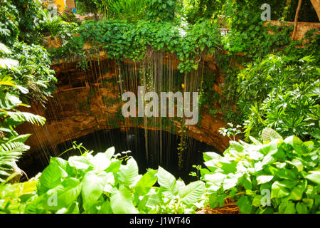 Draufsicht der Ik Kil Cenote mit hängenden Wurzeln in der Nähe von Chichen Itza, Mexiko Stockfoto