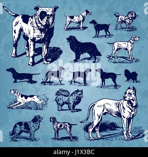 Antike Hunde Illustrationen (Vektor) Stock Vektor