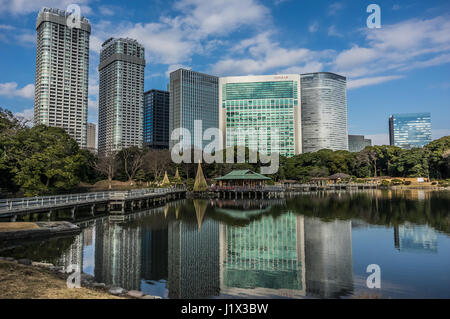 Ein Park, umgeben von Wolkenkratzern Stockfoto