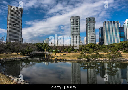 Ein Park, umgeben von Wolkenkratzern Stockfoto