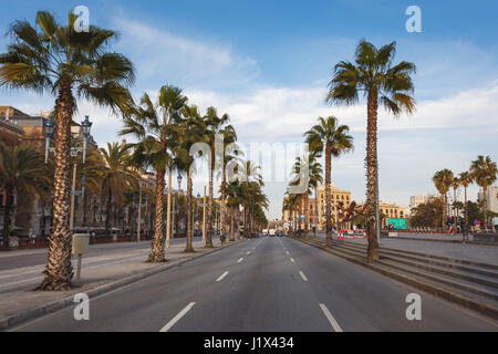 Barcelona, Spanien - 2. Januar 2017: Palmen am Straßenrand Passeig de Colom Straße in Barcelona Stockfoto