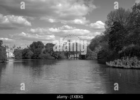 London Eye vom St. James Park, London, Vereinigtes Königreich Stockfoto