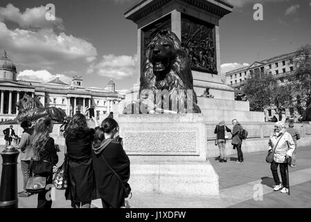 Ein Frühlingstag in Trafalgar Square, London, England, Vereinigtes Königreich Stockfoto