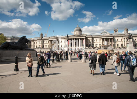 Ein Frühlingstag in Trafalgar Square, London, England, Vereinigtes Königreich Stockfoto