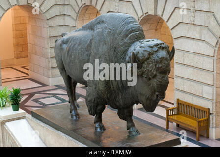 Bronze-Skulptur des amerikanischen Bisons (Bison Bison) von Georges Gardet in der Legislative Building, Winnipeg, Manitoba, Kanada Stockfoto