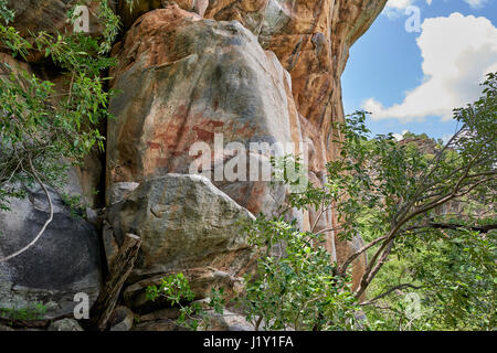 Felszeichnungen, alten San Gemälde, Tsodilo Hills, Botswana, Afrika Stockfoto