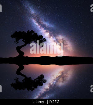 Milky Way mit allein Baum auf dem Hügel nahe dem See mit Himmel Spiegelung im Wasser. Bunte Nacht-Landschaft mit Milky Way, Himmel mit Sternen und Teich Stockfoto