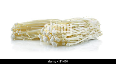 Goldene Nadel Pilz isoliert auf weißem Hintergrund. Stockfoto