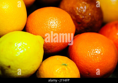 Auswahl von Zitrusfrüchten, close-up Stockfoto