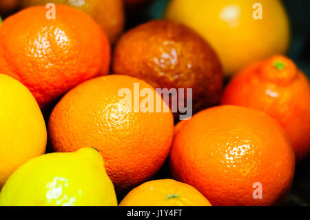 Auswahl von Zitrusfrüchten, close-up Stockfoto