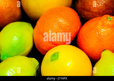 Auswahl von Zitrusfrüchten, close-up Stockfoto