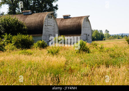 Zwei Scheunen, Nisqually National Wildlife Refuge, Washington, USA Stockfoto