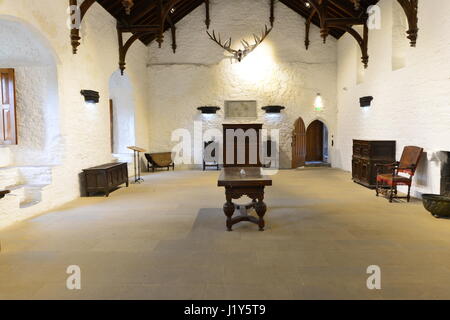 Innere des Cahir Castle in Irland Stockfoto