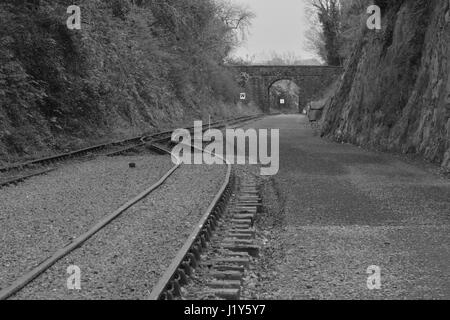 Die Bahnstrecke in Irland auf der alten Waterford, Kork-Bahn-Linie Stockfoto