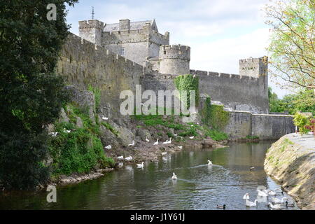 Cahir Castle in Irland Stockfoto