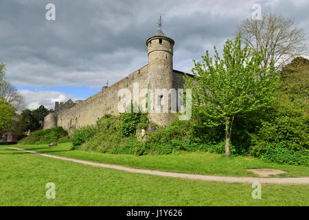 Cahir Schloss Blick von der vorderen Parkbereich in Irland Stockfoto