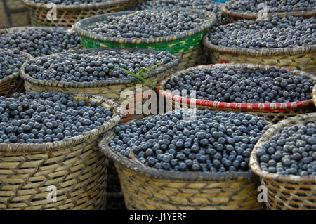 Acai Beeren in Körbe zum Verkauf an die Ver-o-Peso-Port-Obstmarkt in Belem, Brasilien Stockfoto