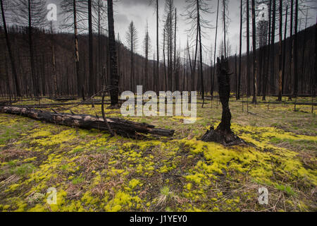 Eine Frau filtert Wasser neben einem Fluss Stockfoto