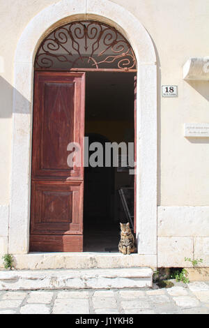 Süße Tabby Katze saß in steinernen Tor Bogen Stockfoto