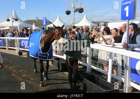 Ayr, Schottland, Vereinigtes Königreich. 22. April 2017. Schottische Grand National, Ayr Racecourse. Foto-show das Pferd wird vorgeführt, um die Gewinner Enclosue Gewinner Vicente, geritten von jocky Sam Twisten-Davis, Besitzer Herr Trevor Hemming, Trainer Vicente, Paul Nicolls Dies ist der zweite Sieg für Vicente, das Pferd gewann das schottische Grand National in 2016 Credit: Alister Firth/Alamy Live News Stockfoto