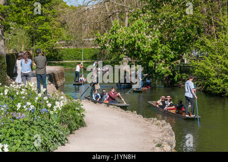 Oxford, Oxfordshire, Vereinigtes Königreich. 22. April 2017. Großbritannien Wetter, Oxford, Oxfordshire, Vereinigtes Königreich. 22. April 2017, Leute genießen Sonnentag in Oxford Botanic Garden und Bootfahren auf dem Fluss Cherwell Kredit: Stanislav Halcin/Alamy Live News Stockfoto