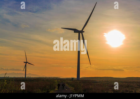 Eaglesham, Schottland, Großbritannien. 22. April 2017. Nach einem sonnigen Frühling Sonntag gibt es einen herrlichen Sonnenuntergang über dem Windpark Whitelee, der größten Windpark in Schottland, an Eaglesham Moor in der Nähe von Glasgow, UK Credit: Findlay/Alamy leben Nachrichten Stockfoto