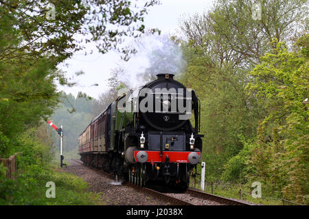 Peterborough, UK. 23. April 2017. Der Tornado Dampf Lok 60163 macht seine entlang der Nene Valley Railway vorbei an einem gelben Raps-Feld in der Nähe von Wansford, Cambridgeshire. Der Tornado ist ein besonderes "Best of Britain" Aussehen an diesem Wochenende nach einer vor kurzem bei 100 km/h auf der East Coast mainline Reise machen. Bildnachweis: Paul Marriott/Alamy Live-Nachrichten Stockfoto