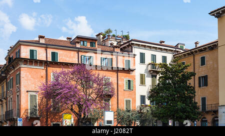 VERONA, Italien - Frühling 2. April 2017 - Stadtbild in Verona Stadt. Verona ist die Stadt an der Etsch, eines der sieben Provinzhauptstädte Veneto reg Stockfoto