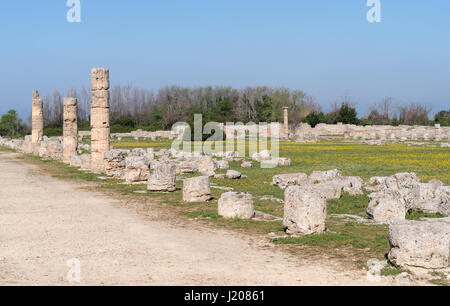 Paestum archäologische Stätte, Kampanien, Italien. Die Via Sacra, Hauptstraße der römischen Stadt Stockfoto