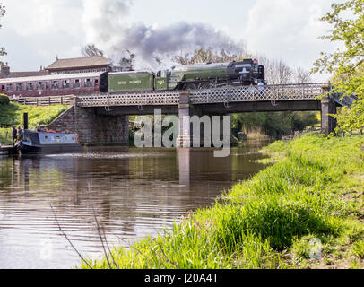 Tornado Dampfmaschine über dem Fluss Nene auf der Nene Valley Railway Stockfoto