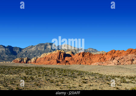 In der Wüste Nevadas Land stehen die Felsformation des Red Rock Canyon. Die Forground ist von dem Wüstenboden und einen Panoramablick über das Rock-format Stockfoto