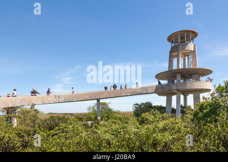 Miami, Fl - 15. März 2017: Shark Valley Aussichtsturm in den Everglades National Park. Florida, United States Stockfoto