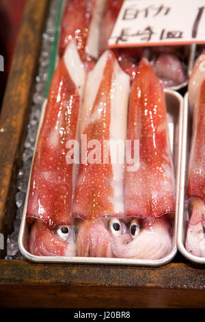 Anzeige der frische ganze Tintenfisch zum Verkauf im Tsukiji-Markt in Tokio, Japan. Stockfoto