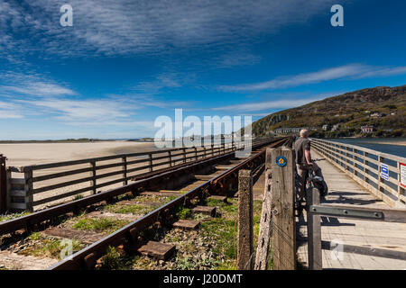 Radfahrer genießen Sie den Blick auf die Eisenbahnbrücke über den Mawddach Mündung nach Barmouth, Gwynedd, Wales Stockfoto